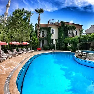 book here